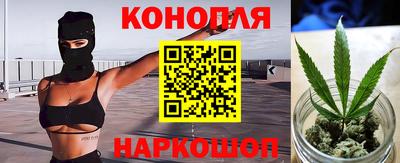 стафф Можга