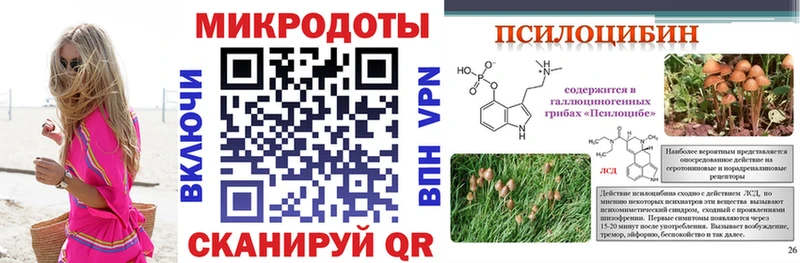 OMG онион  Тосно  Галлюциногенные грибы GOLDEN TEACHER 
