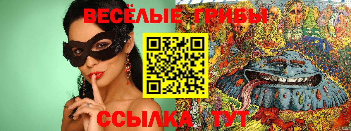 Псилоцибиновые грибы Cubensis Тосно