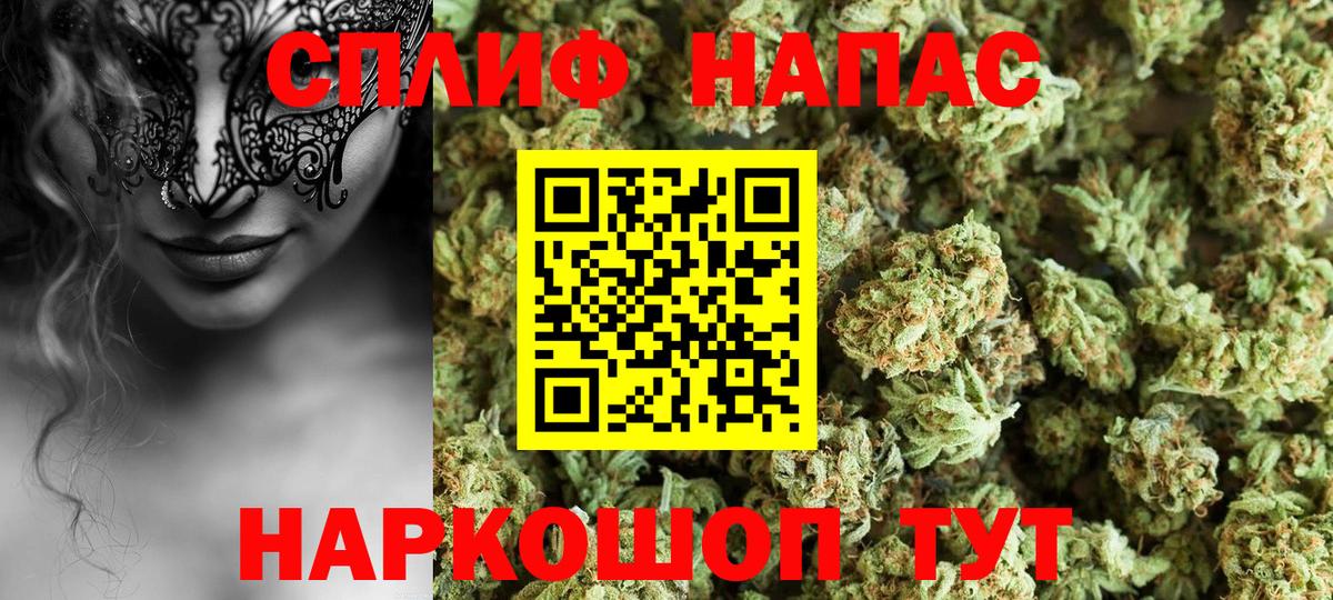 Бошки марихуана AK-47  Шишки марихуана AK-47  Вход с VPN  Тосно  Бошки Шишки THC 21%  МАРИХУАНА OG Kush 